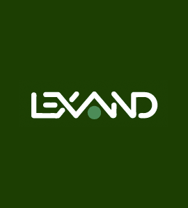 Логотип LEXAND