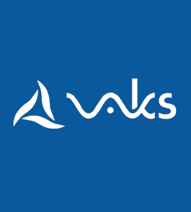 Логотип VAKS