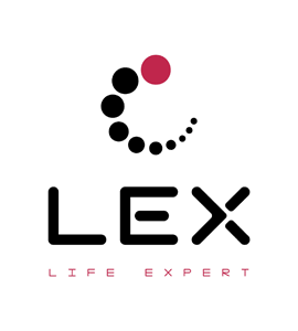 Логотип LEX