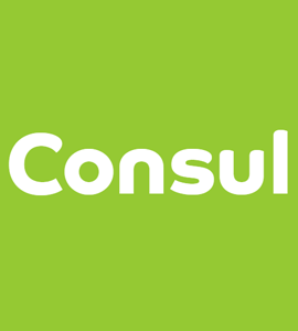 Логотип Consul