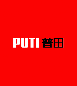 Логотип PUTI