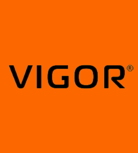 Логотип VIGOR