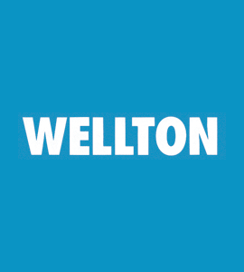 Логотип Wellton