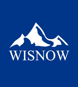 Логотип WISNOW