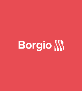 Логотип Borgio