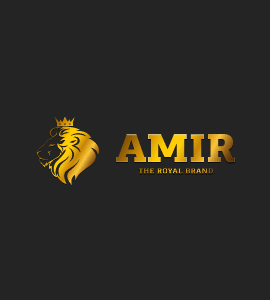 Логотип AMIR