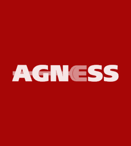 Логотип AGNESS