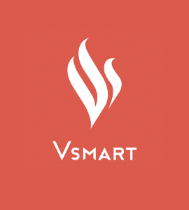 Логотип Vsmart