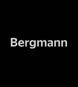 Логотип Bergmann