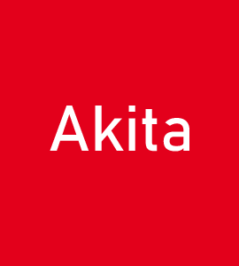 Логотип AKITA