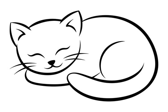 кот