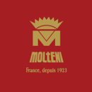 Логотип Molteni