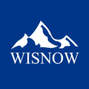 Логотип WISNOW