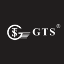 Логотип GTS