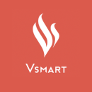 Логотип Vsmart