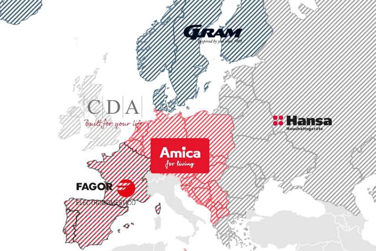 Рынки группы компаний Amica